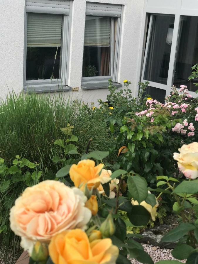 Ernst-Ludwig-Promenade Appartement Bensheim Buitenkant foto